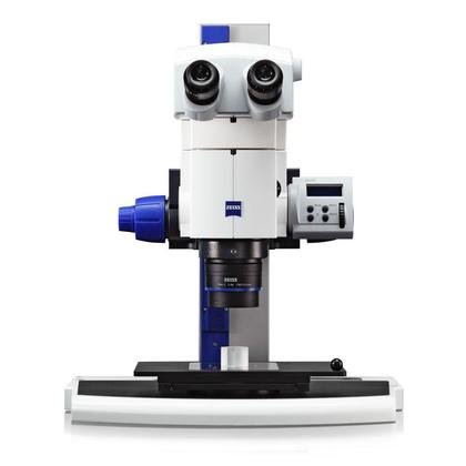 Stereo Microscopes